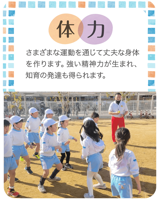 体力　さまざまな運動を通じて丈夫な身体を作ります。強い精神力が生まれ、知育の発達も得られます。