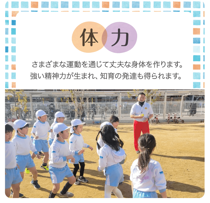 体力　さまざまな運動を通じて丈夫な身体を作ります。強い精神力が生まれ、知育の発達も得られます。
