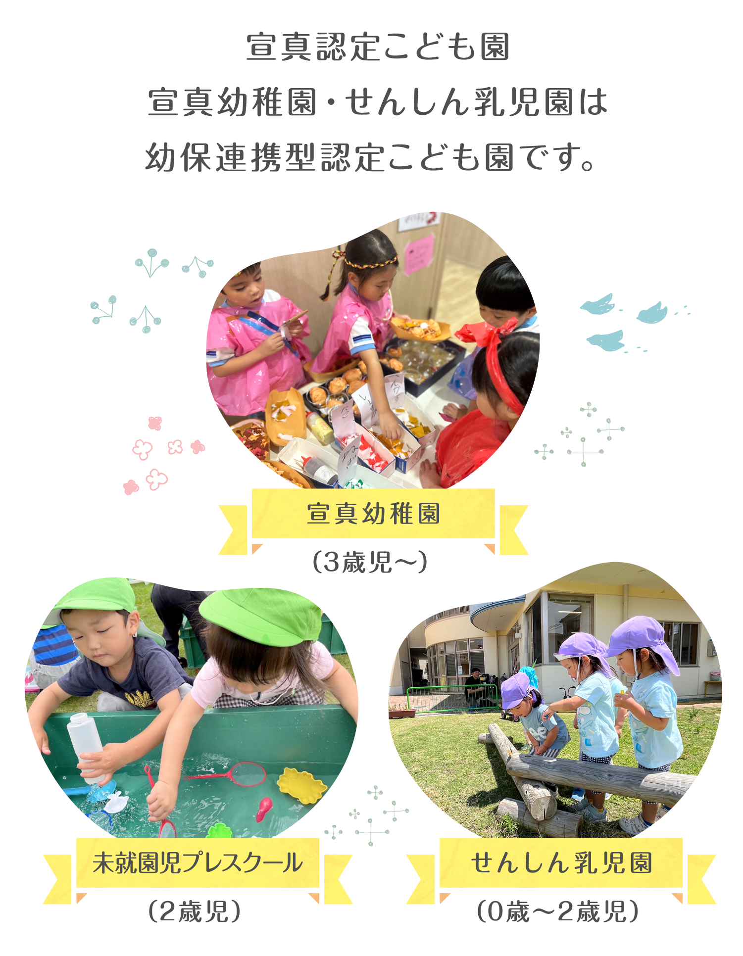 宣真認定こども園宣真幼稚園・せんしん乳児園は幼保連携型認定こども園です。