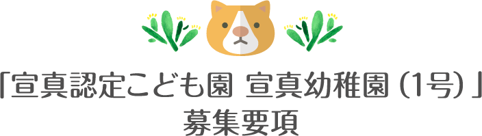 「宣真認定こども園 宣真幼稚園（1号）」募集要項