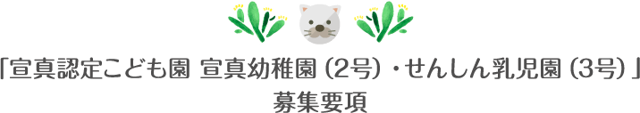 「宣真認定こども園 宣真幼稚園（2号）・せんしん乳児園（3号）」募集要項