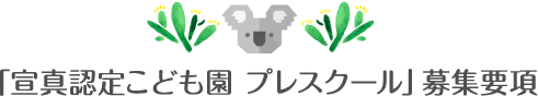 「宣真認定こども園 プレスクール」募集要項